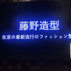 点击看大图 -藤野造型