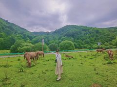 -大水川景区