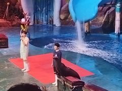 -烟台海昌鲸鲨海洋公园