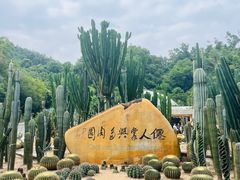 -深圳仙湖植物园
