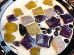 -猫的魔法密林(衣裳街店)