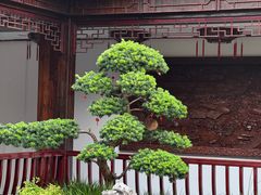-古韵轩·园林餐厅