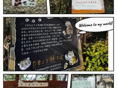 -红山森林动物园