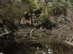 -叶家花园