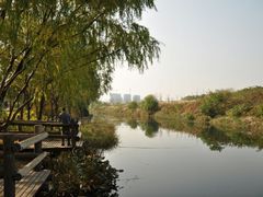 android_upload_pic-新江湾城公园