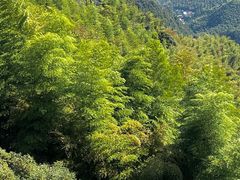 -莫干山风景区