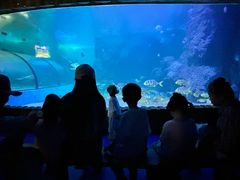 -左海海底世界