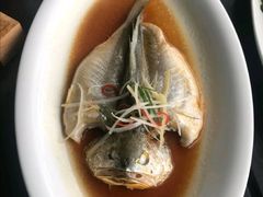 清蒸小拉菲-陶家堡·多意食餐饮(益健路店)