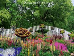 -上海共青森林公园