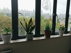 -上海爱以德护理院·康复(宝山院)