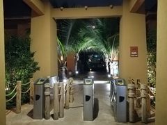 -亚马逊丛林水乐园