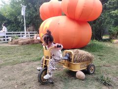 -HERRE·FARM 赫尔露营农场·团建聚会包场