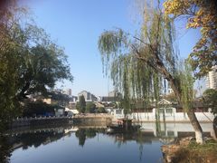 -水绘园