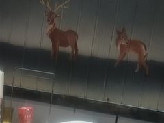 -皇家5号海鲜烤肉火锅自助餐(聊城总店)