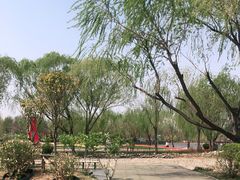 -廊坊文化艺术中心