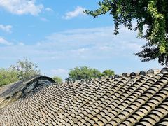 -自如ZSPACE四合院艺术餐厅