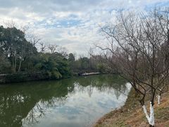 -西溪国家湿地公园