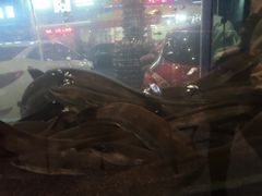 -本炙炭烤·蒲烧活鳗料理店(金沙洲店)