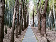 -同里国家湿地公园