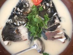 -全乐鱼馆·淳牌有机鱼直营店