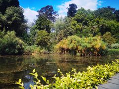 -墨尔本皇家植物园