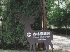 -日照海滨国家森林公园
