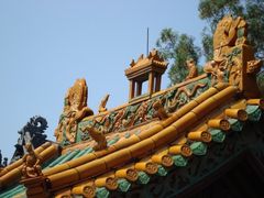 -药王庙(安国市)
