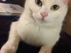 -章云板鸭(评事街店)