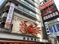 -蟹道乐(道顿堀本店)