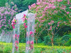 -杭州城北体育公园