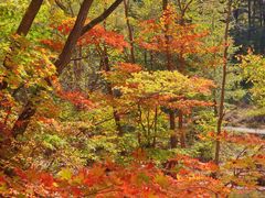 -本溪老边沟风景区