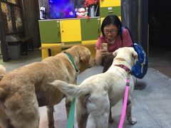 -严国平动物医院(德政总院)