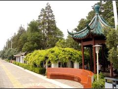 -瀛洲公园
