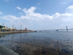 -星海广场