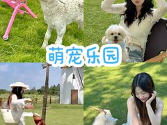 -栖露营camping·天幕烧烤·团建拓展·采摘营地