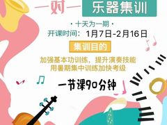 -快乐琴弦音乐舞蹈艺术教育中心(马连道校区)