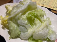 圆生菜-芦月轩羊蝎子(劲松店)