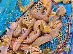 -好兄弟郭巨海鲜(天一阁店)