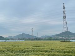 -李东农庄(中南百草园地标店)
