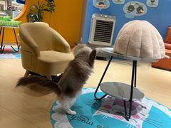 -龙湖杭州滨江天街