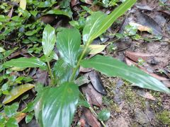 -满江红火锅(凯德店)