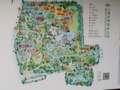 -上海共青森林公园