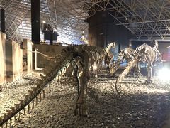 -世界恐龙谷景区