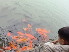 -乌村