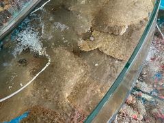 -聚德福海鲜家常菜(刘庄店)