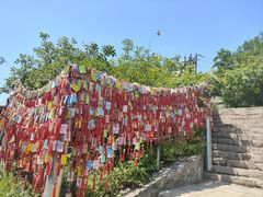 -香山公园