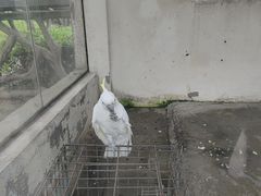 -南昌动物园
