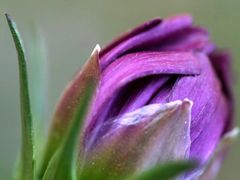 -东北农家饺子村(昌平路店)