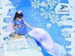 -上海海昌海洋公园-冰山北极馆
