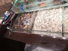 -蒙肥羊·酸汤潮牛·鲜牛肉火锅烤肉自助(岗顶店)